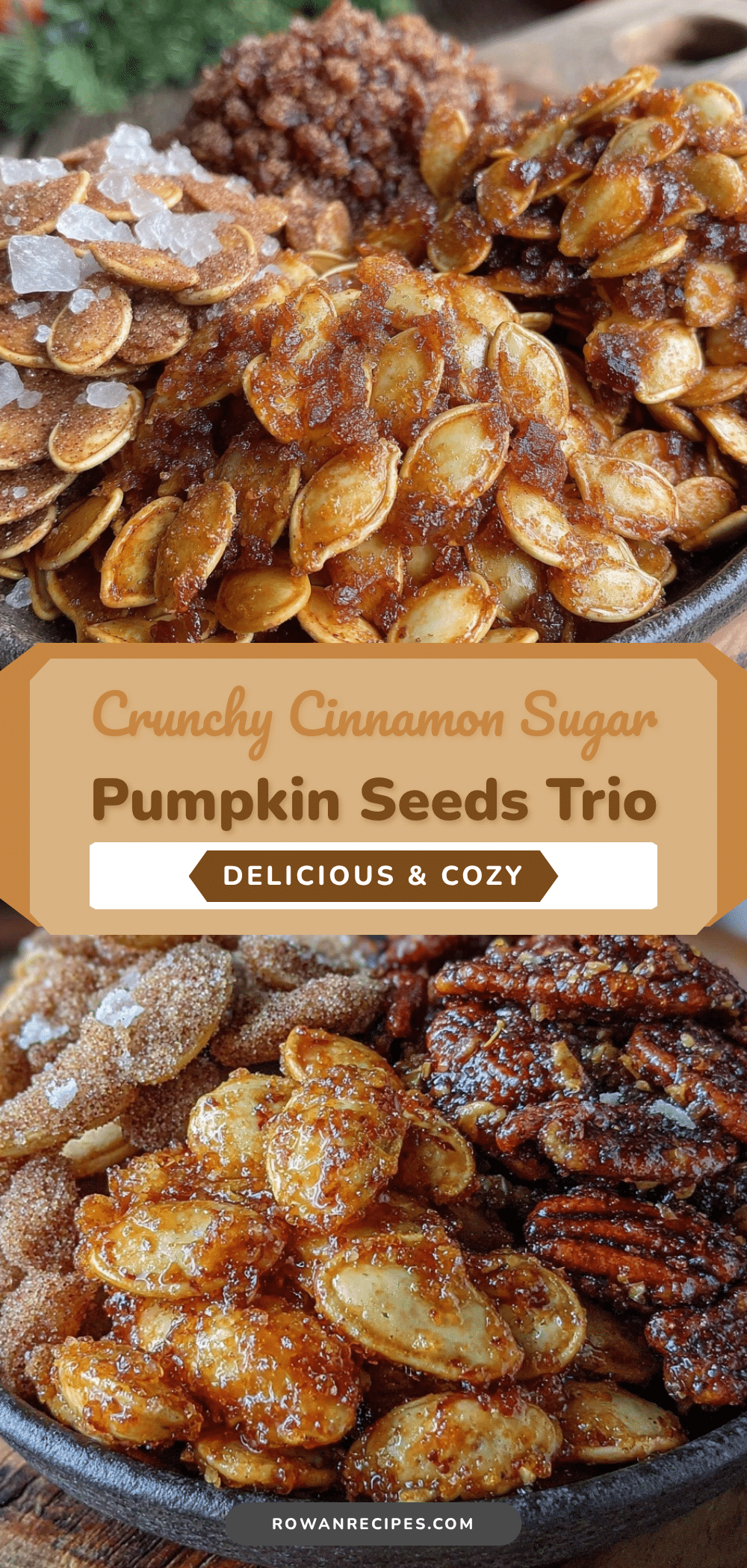 crunchy cinnamon sugar pumpkin seeds recipe
