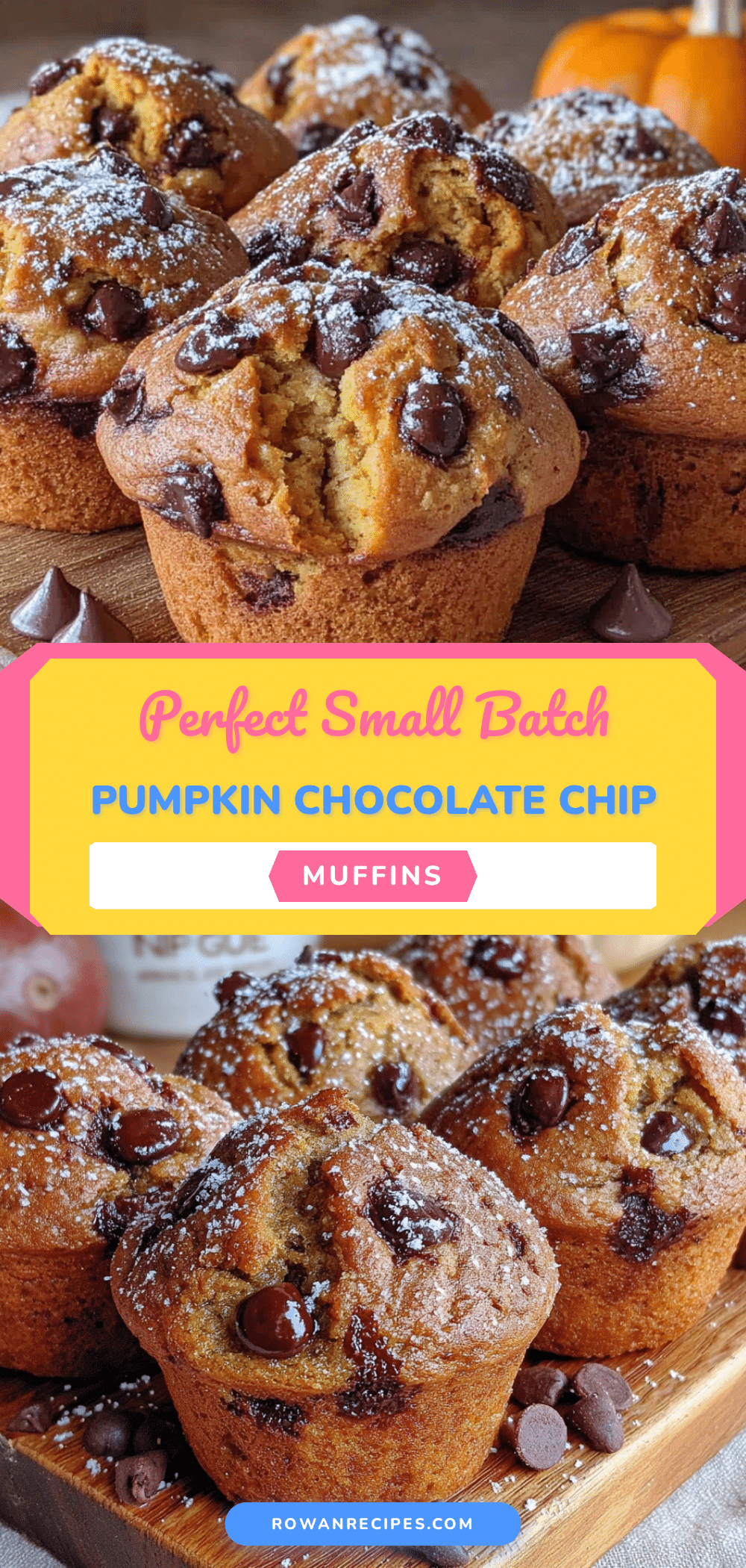 pumpkin chocolate chip muffins recipe